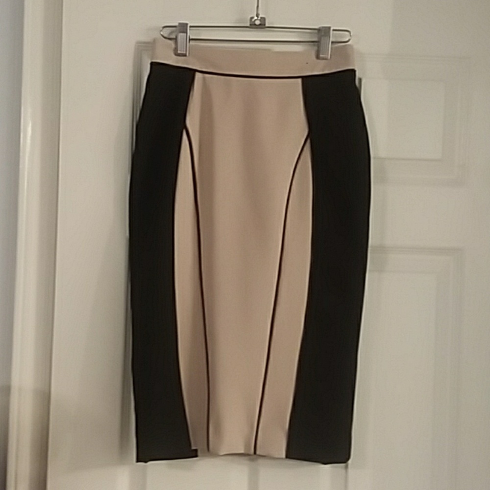 Atmosphere Pencil Skirt